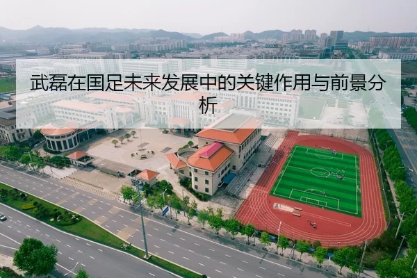 武磊在国足未来发展中的关键作用与前景分析